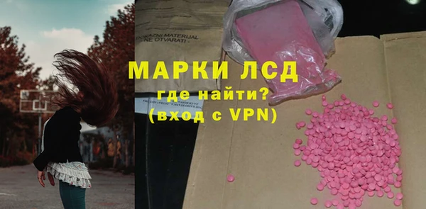 гидра Заводоуковск