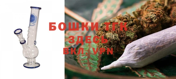 гидра Заводоуковск