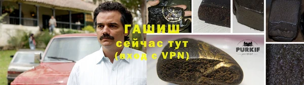 гидра Заводоуковск