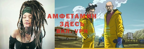 гидра Заводоуковск