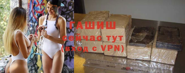 гидра Заводоуковск